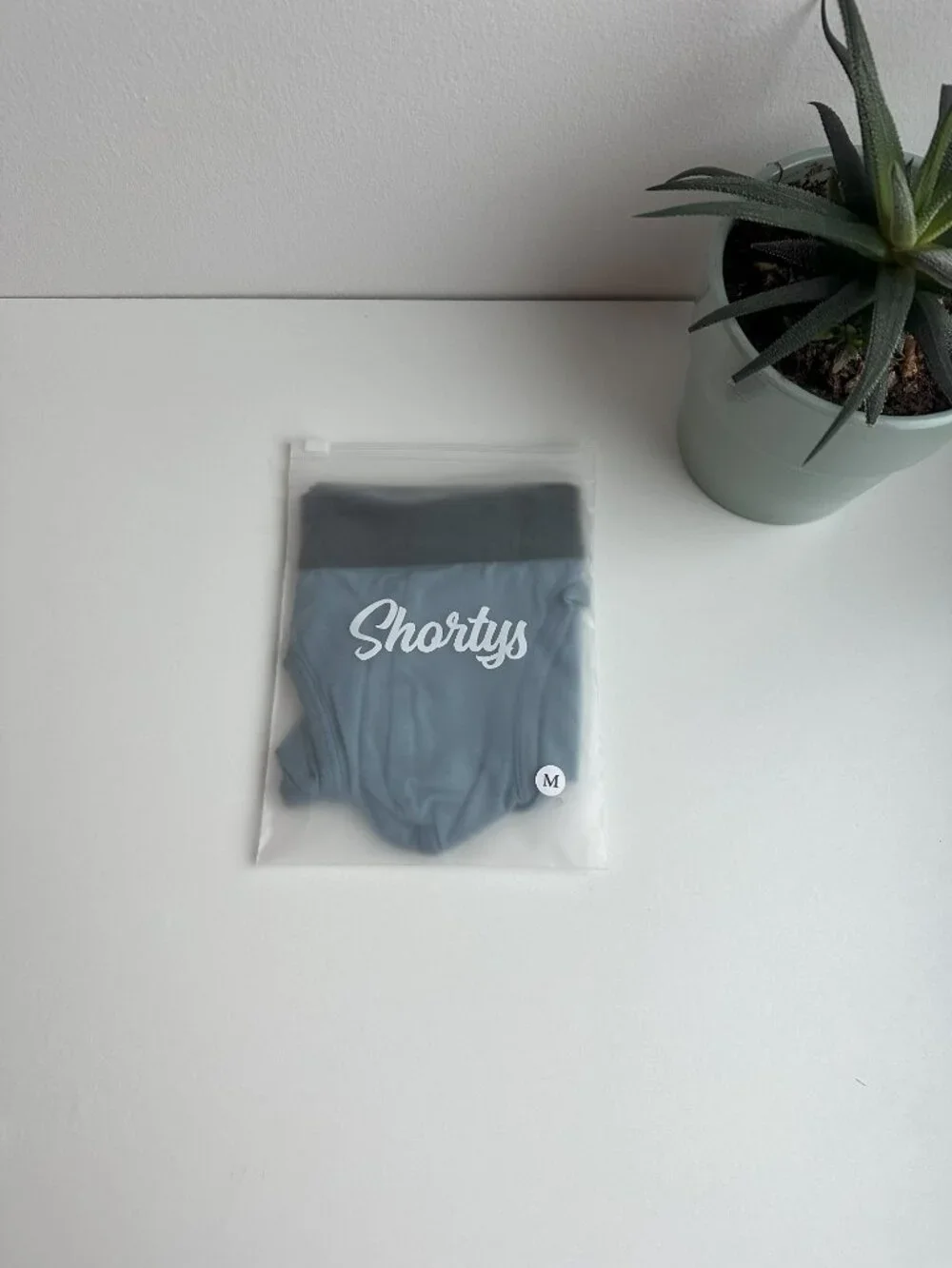 Shorty's Menswear - Hammock Brief - Blue (L)